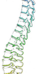 spine osteo page